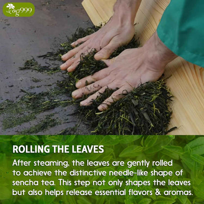 Premium Sencha Green Tea Bags, 100% Natural &amp; Pure from Sencha Green Tea Leaves