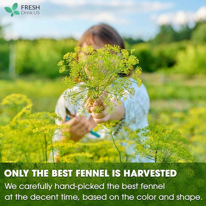 Premium Fennel Tea Bags, 100% Natural &amp; Pure from Fennel Seeds. Fennel Seed Herbal Tea. Fennel Seed Tea. Made with Natural Material Tea Bags. No Sugar, No Caffeine, No Gluten, Vegan.