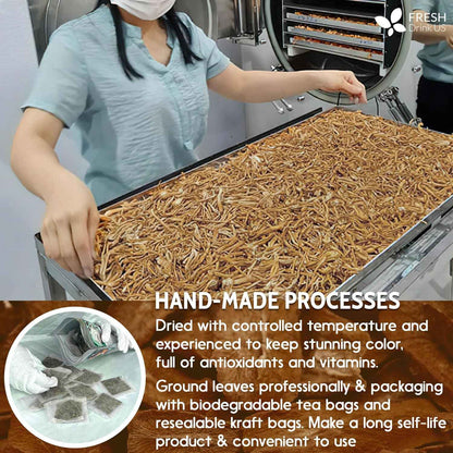 Burdock Root Tea Bags, 100% Natural &amp; Pure from Burdock Root. Burdock Root Herbal Tea. Burdock Root Tea. No Sugar, No Caffeine, No Gluten, Vegan.