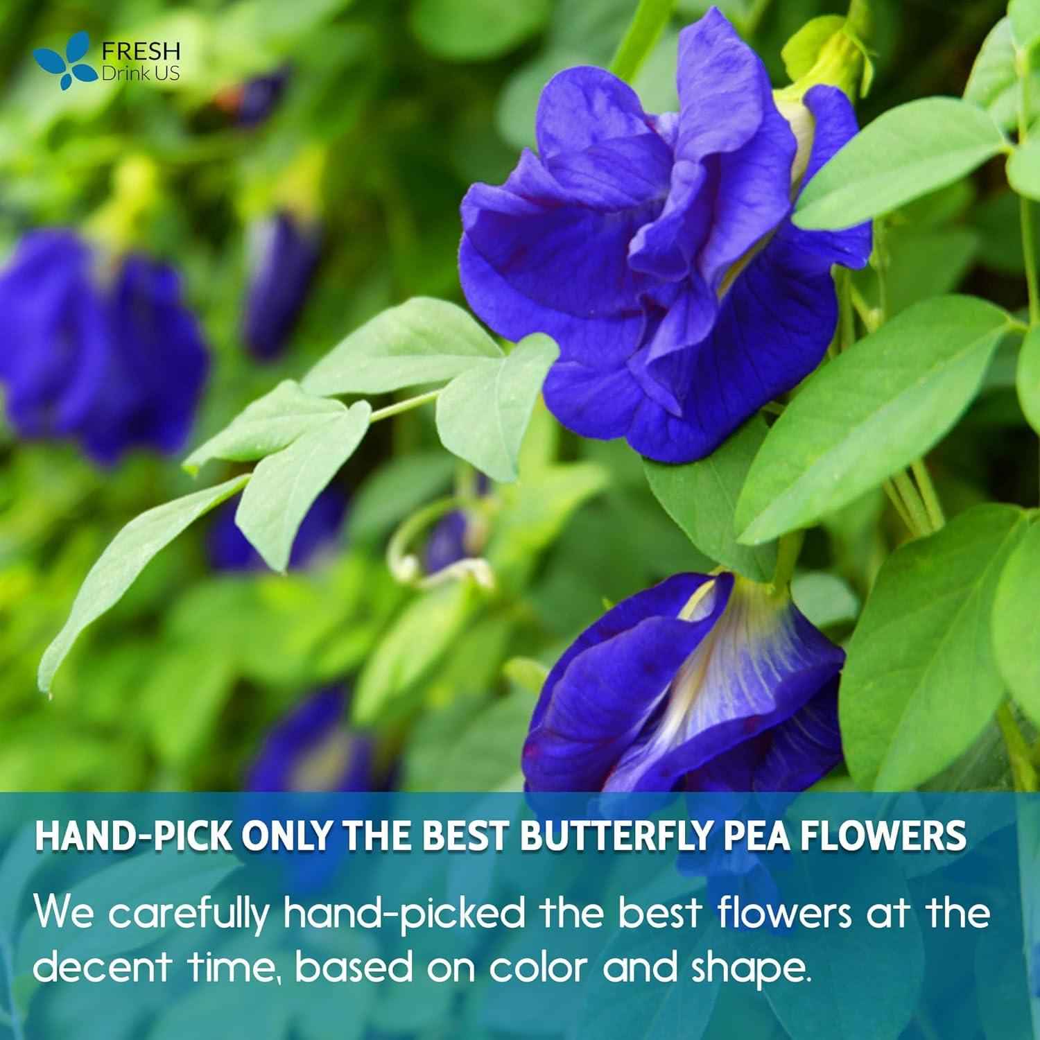 Premium Butterfly Pea Flowers, Tea Bags, 100% Natural and Pure from Butterfly Pea Flowers, Hand-made, Made With Natural Materials-Corn Fiber Tea Bag, Sugar/Caffeine/Gluten Free