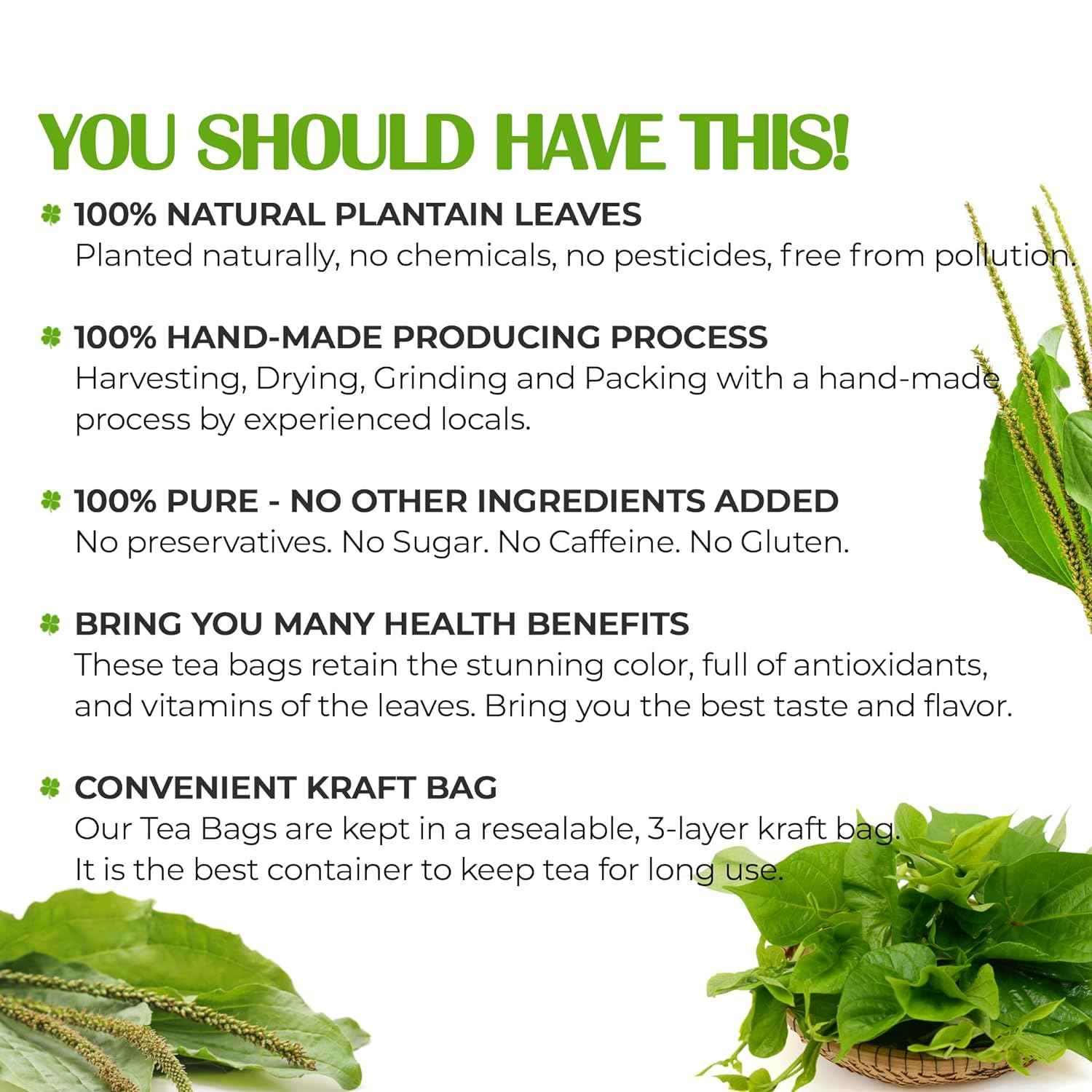 Plantain Leaf Tea Bags, 100% Natural &amp; Pure Plantain Leaves. Loose Leaf Plantain Herbal Tea. Plantain Leaf Tea. No Sugar, No Caffeine, No Gluten, Vegan.