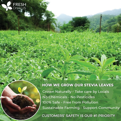 Stevia Leaf, Whole Dried Leaves, Tea Bags, Powder, 100% Natural and Pure from Stevia Leaves. Sugar Substitute for Tea, Coffee. Loose Leaf Stevia Herbal Tea. Zero Calorie Sweetener. No Sugar, No Caffeine, No Gluten, Vegan. by FreshDrinkUS - Natural and Premium Herbal Tea