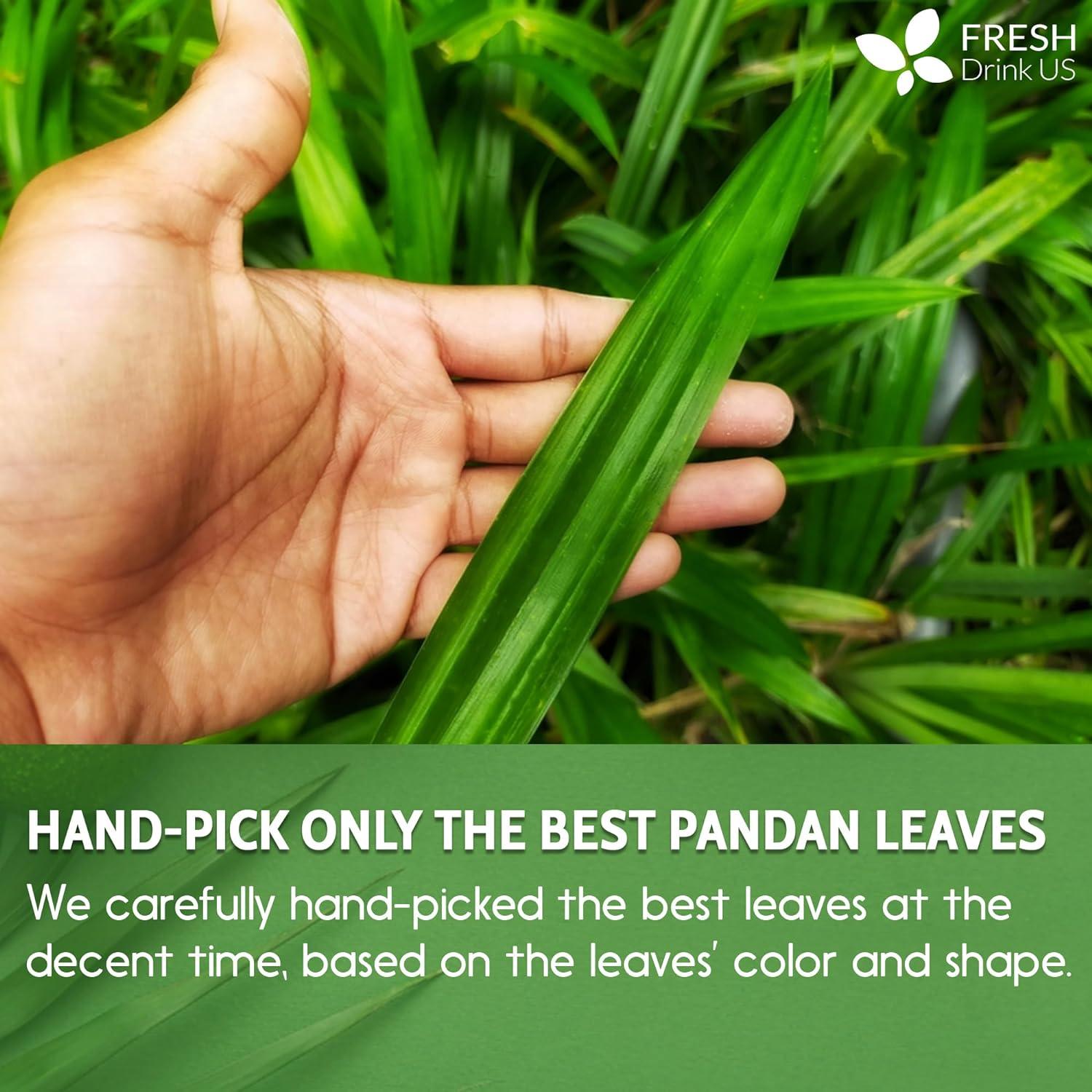 Natural Pandan Leaves Dried, Pandan Leaf Powder, 100% Pure Dried Pandan Leaves, Pandan Leaf Tea, No Additives, No Caffeine, Vegan by FreshDrinkUS - Natural and Premium Herbal Tea