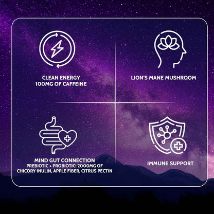 Yerba Mate Instant Tea Powder | Superfood Energy &amp; Focus Blend