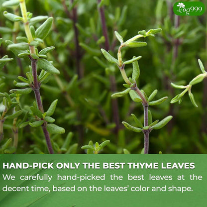 Premium 40 Thyme Leaf Tea Bags, 100% Natural &amp; Pure, Loose Leaf Herbal Tea.