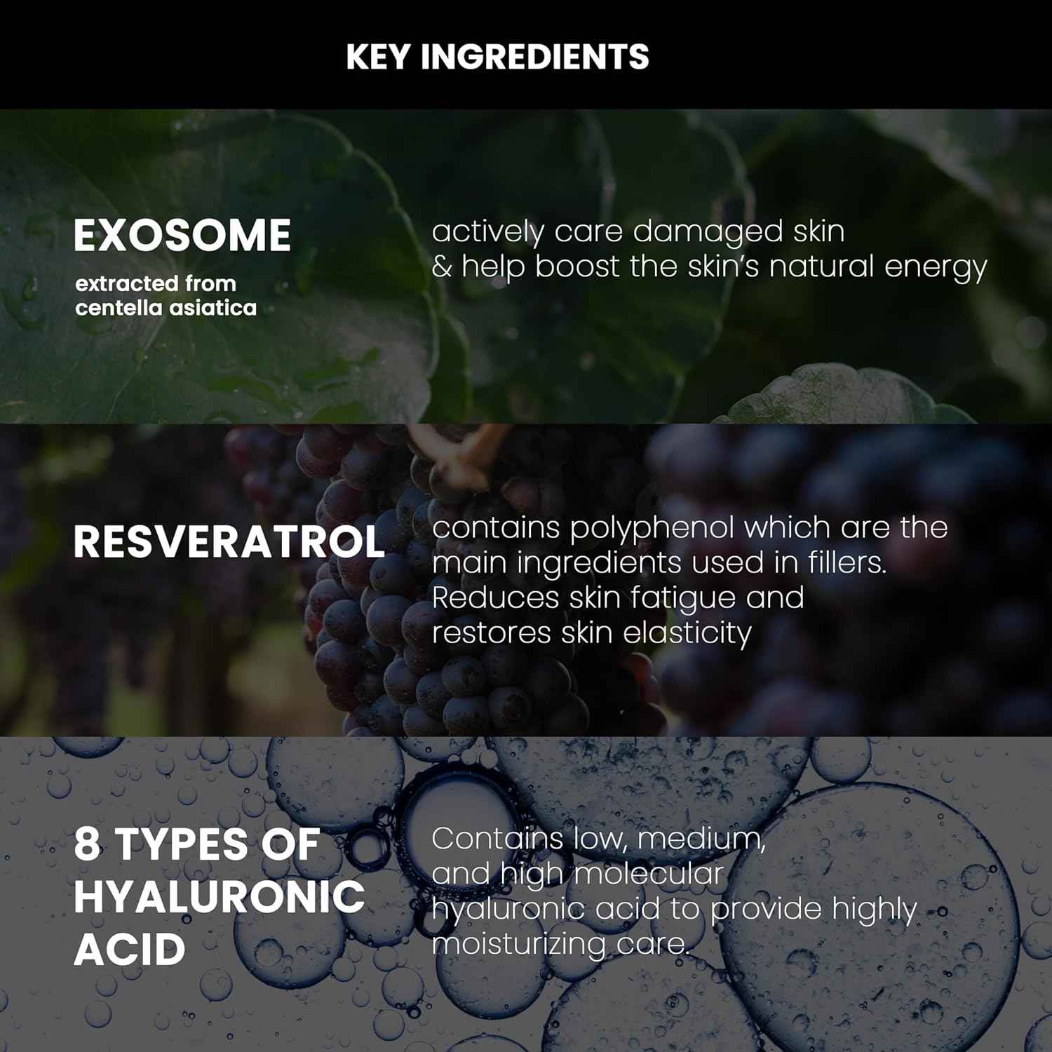 NEOGEN Dermalogy High R Exosome Cream