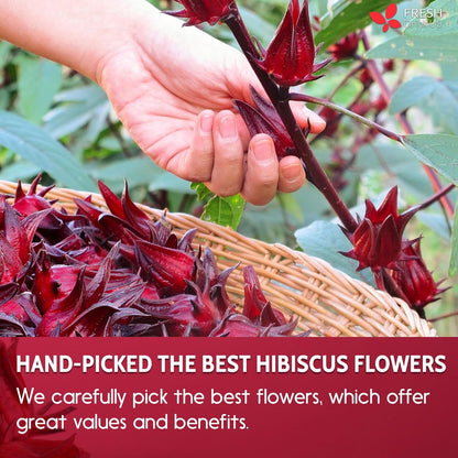 Hibiscus Dried Flowers, Tea Bags, 100% Natural, Pure from Hibiscus Flowers. Loose Flower Hibiscus Herbal Tea. Hibiscus Flower Tea. No Sugar, No Caffeine, No Gluten, Vegan. by FreshDrinkUS - Natural and Premium Herbal Tea