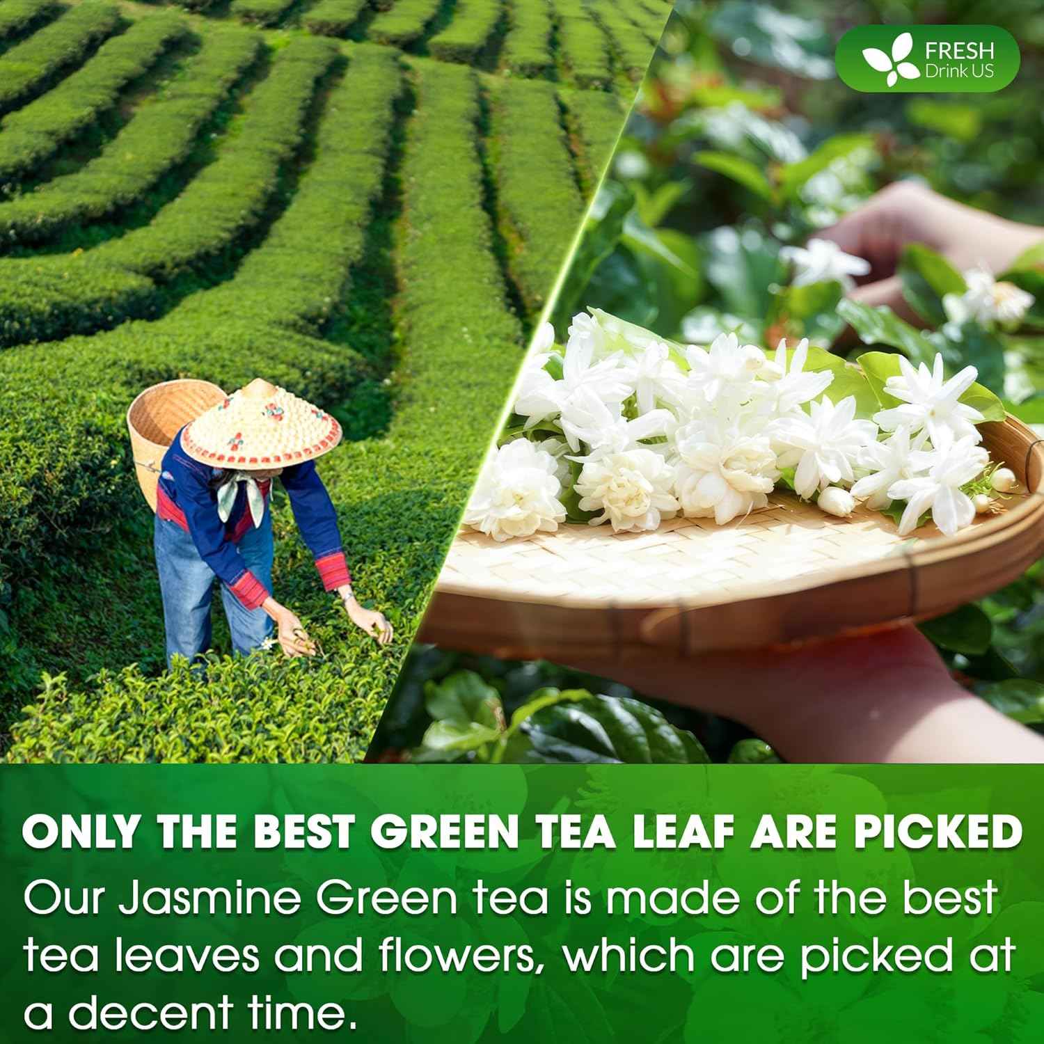 Premium Jasmine Green Tea Bags. Jasmine Green Herbal Tea. Made with Natural Material Tea Bags. No Sugar, No Gluten, Vegan.