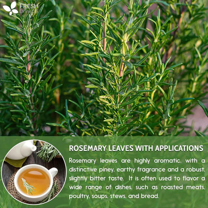 Premium Rosemary Leaves, Tea Bags, Powder, 100% Natural &amp; Pure from Dried Rosemary Leaves, No Additives, No Caffeine, Vegan. Dried Rosemary Herb, Perfect for Seasoning, Spice Blends for Grilling &amp; Cooking