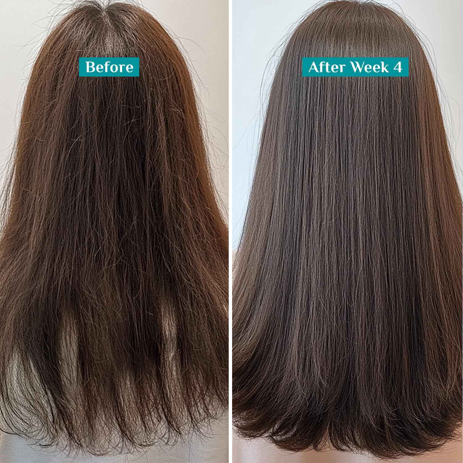 Pilgrim Spanish Rosemary Anti-Hairfall Shampoo (GTM)