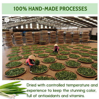 Lemongrass Tea Bags, 100% Natural &amp; Pure Lemongrass leaves, Eco-Conscious Tea Bags, Lemongrass Herbal Tea. Lemongrass Leaf Tea. No Sugar, No Caffeine, No Gluten, Vegan.