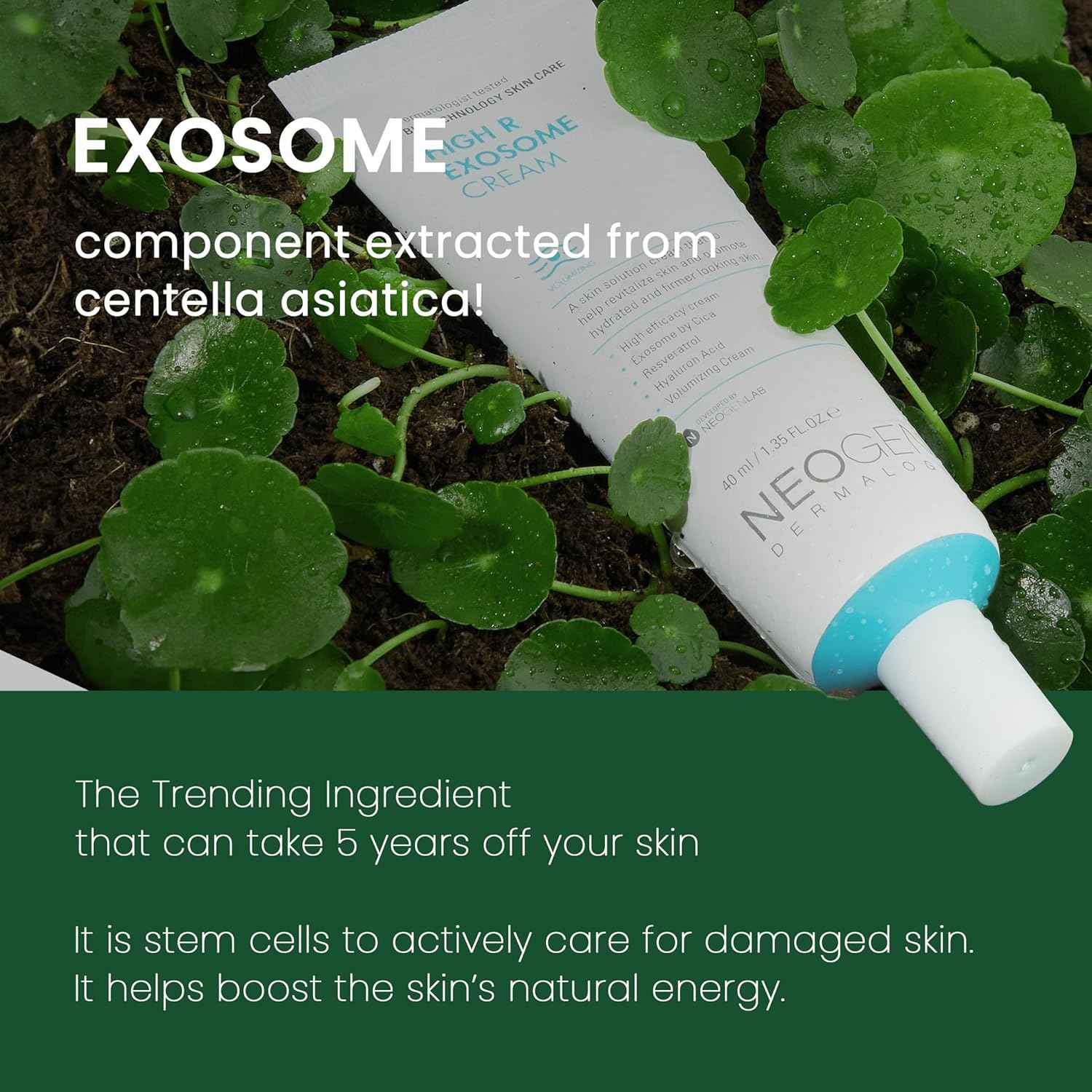 NEOGEN Dermalogy High R Exosome Cream