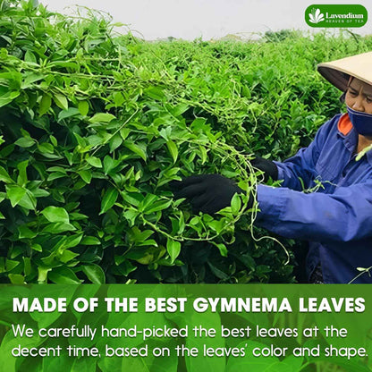 Premium Gymnema Leaf Tea Bags for Diabetics, 100% Natural &amp; Pure from Gymnema Leaves.