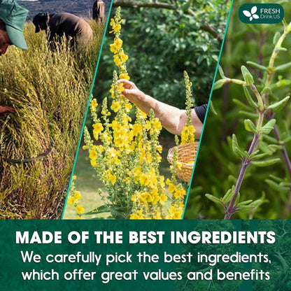 StrongerLungs Tea Bags - Supports Lung Cleanse, Congestion Relief &amp; Mucus Detox