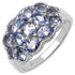 1.73 Carat Genuine Tanzanite .925 Sterling Silver Ring by Bids.com