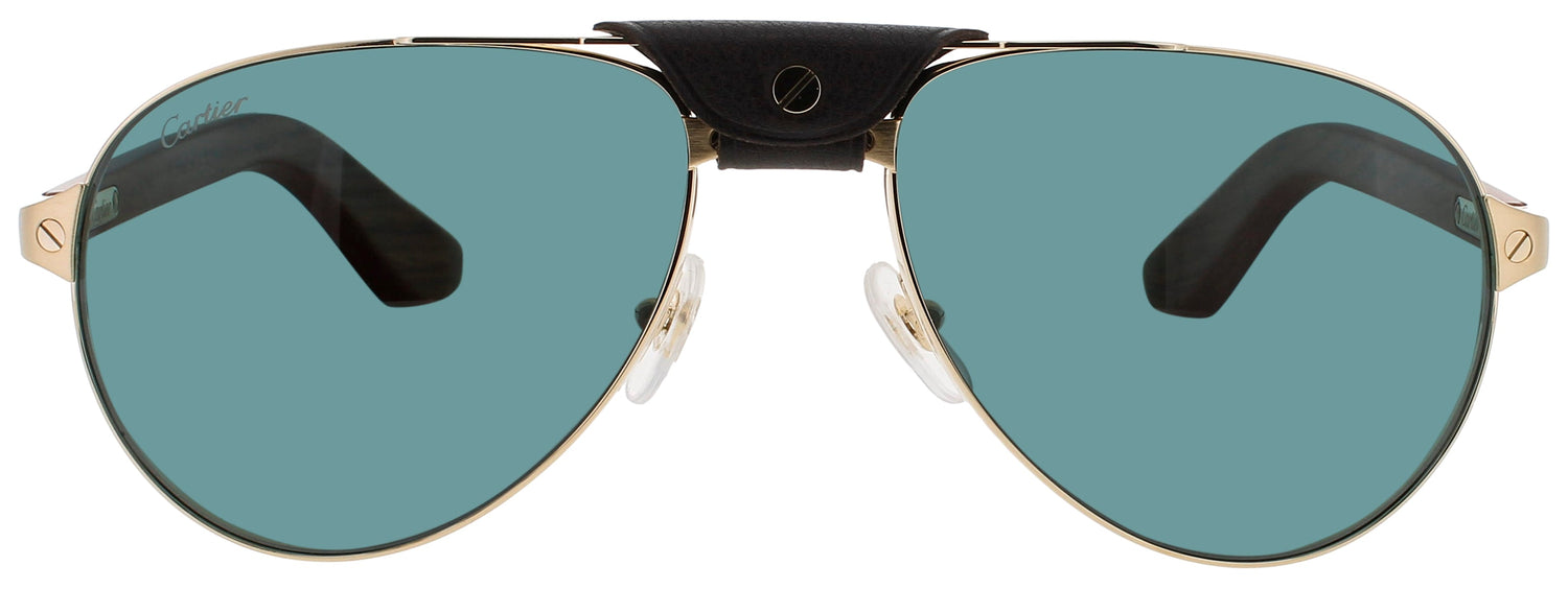 Cartier Ct0495s Sunglasses by ModaFrames
