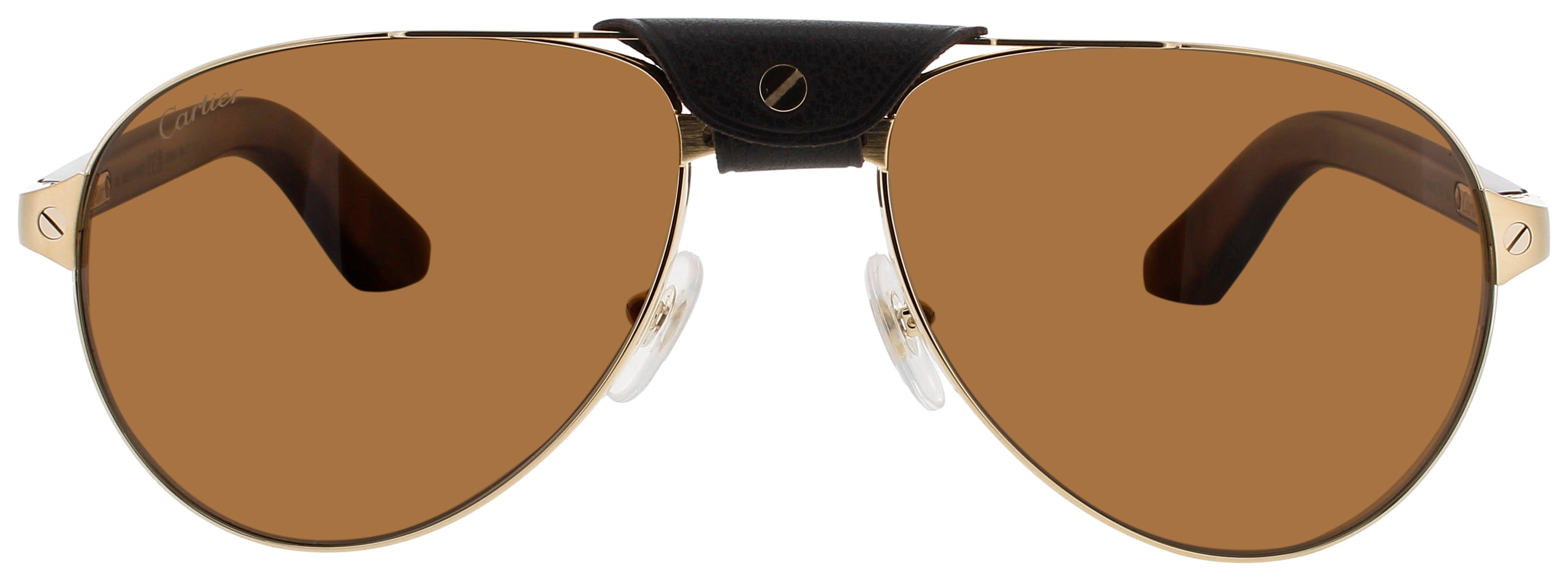 Cartier Ct0495s Sunglasses by ModaFrames