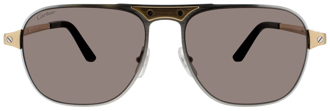 Cartier Ct0532s Sunglasses by ModaFrames
