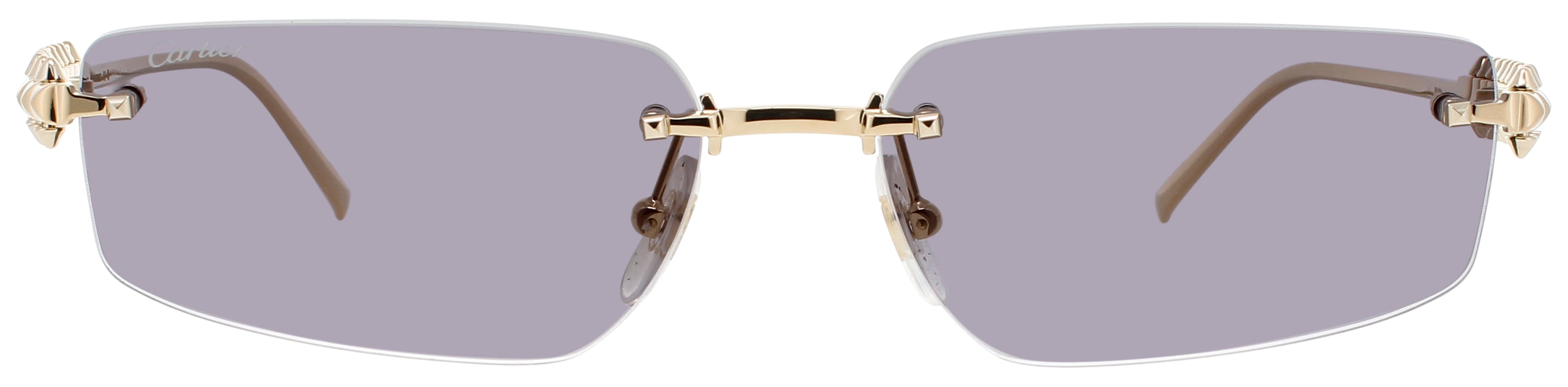 Cartier Ct0544s Sunglasses by ModaFrames