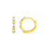 14k Yellow Gold Petite Octagonal Hoop Earrings with Cubic Zirconias  DestGlow