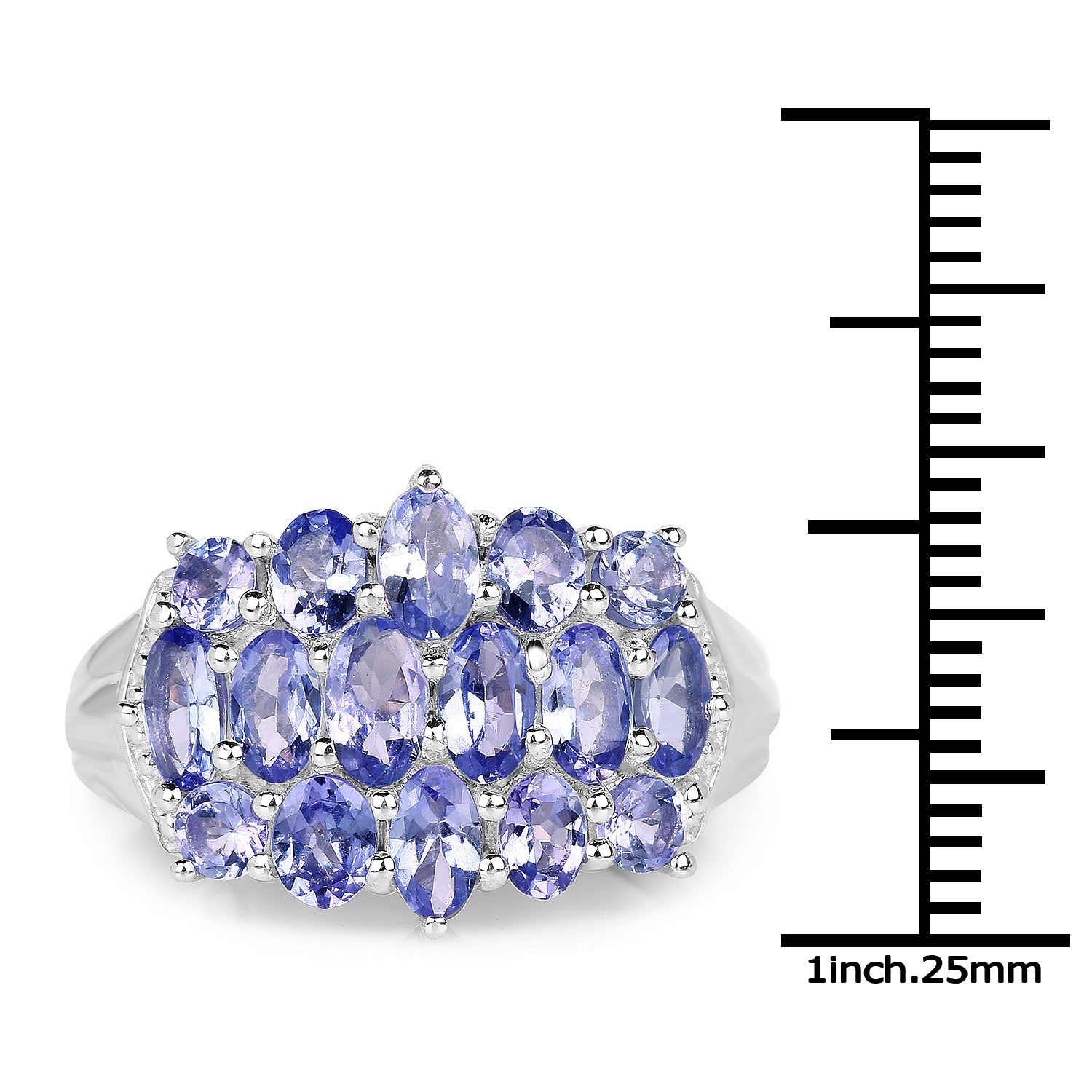 3.08 Carat Genuine Tanzanite .925 Sterling Silver Ring by Bids.com