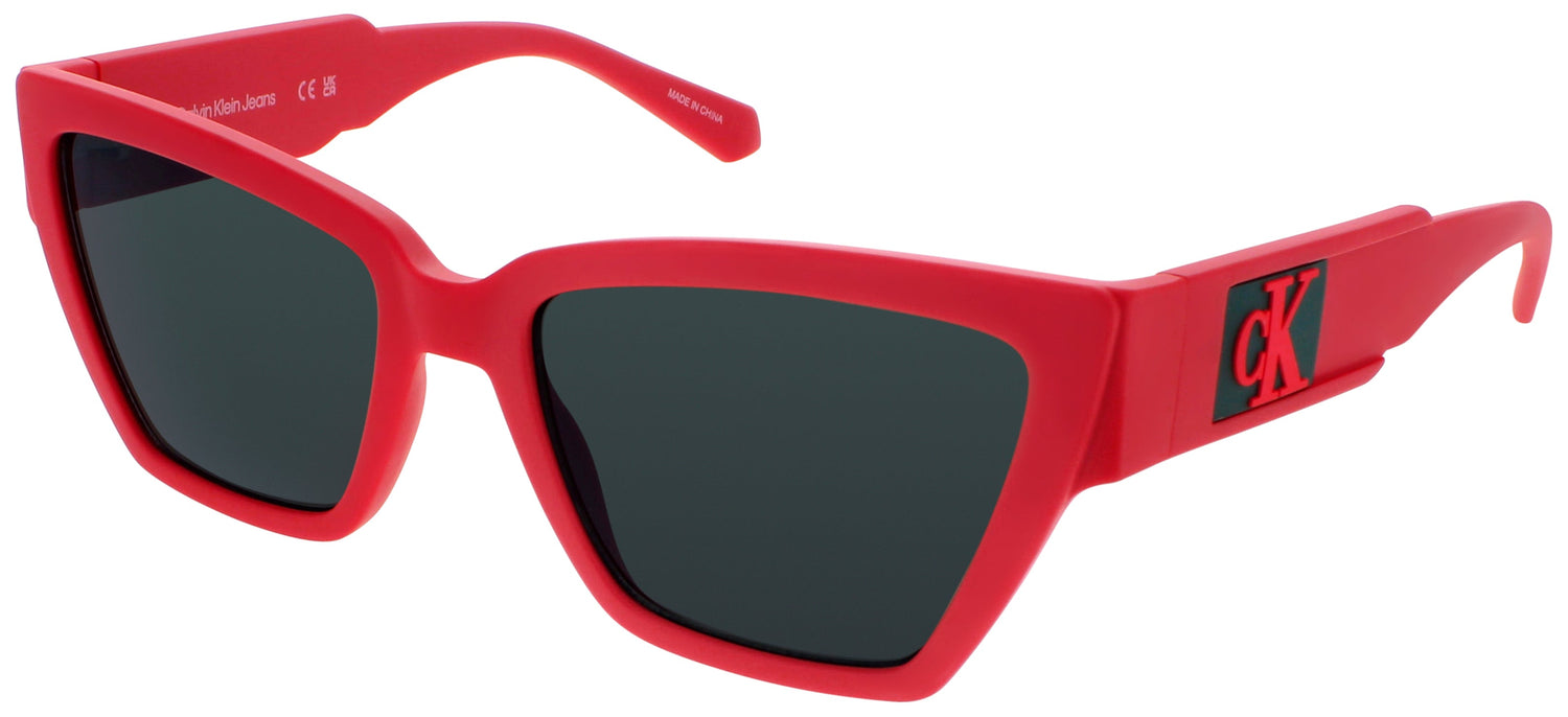 Calvin Klein Jeans Ckj23624s Sunglasses by ModaFrames