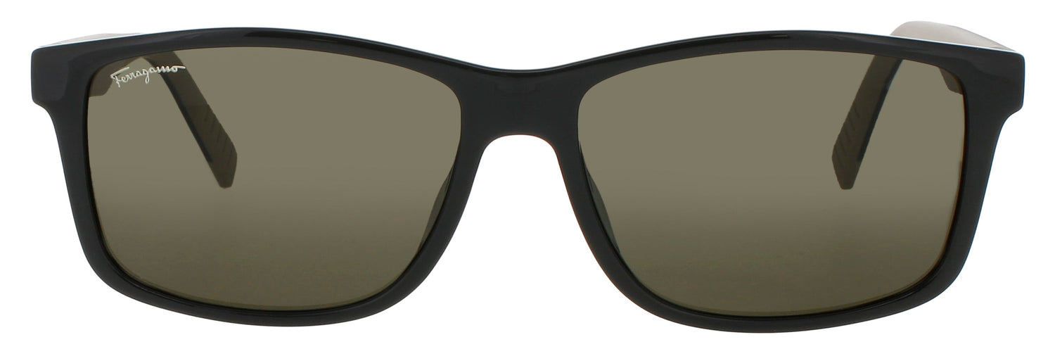 Salvatore Ferragamo Sf938s Sunglasses by ModaFrames