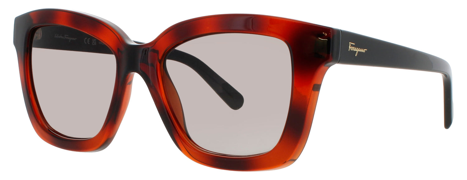 Salvatore Ferragamo Sf955s Sunglasses by ModaFrames
