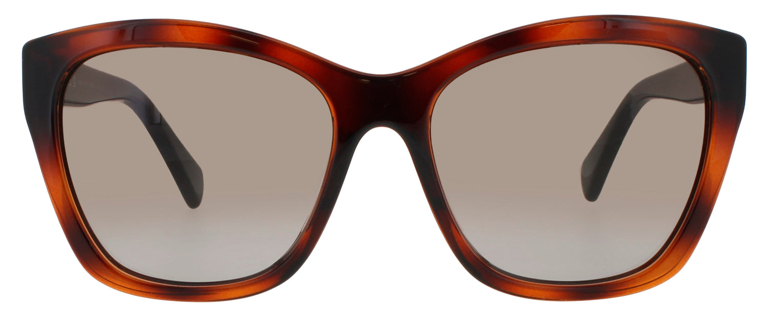 Salvatore Ferragamo Sf957s 214 Sunglasses by ModaFrames