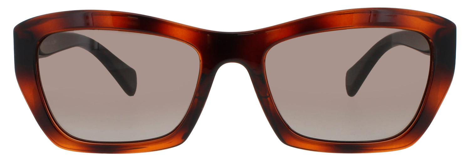 Salvatore Ferragamo Sf958s 214 Sunglasses by ModaFrames