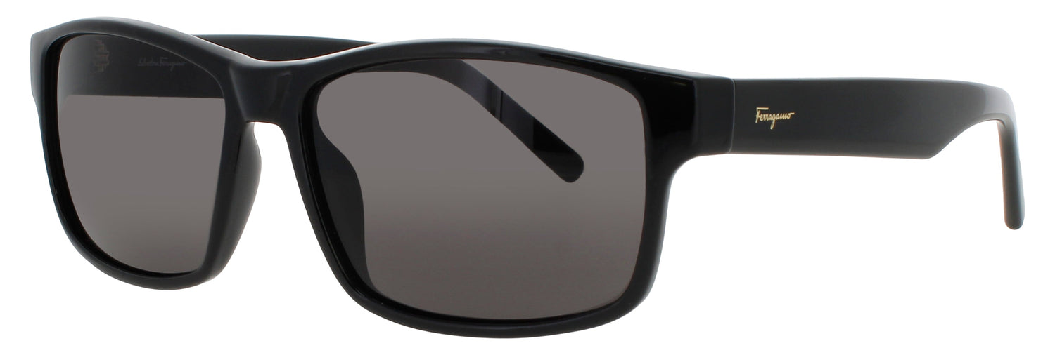 Salvatore Ferragamo Sf960s Sunglasses by ModaFrames