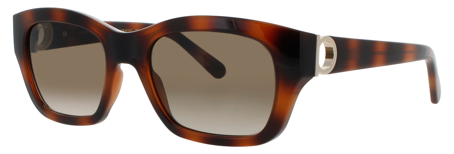 Salvatore Ferragamo Sf1012s Sunglasses by ModaFrames