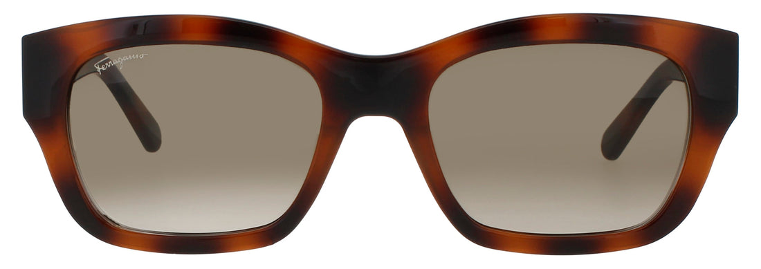 Salvatore Ferragamo Sf1012s Sunglasses by ModaFrames