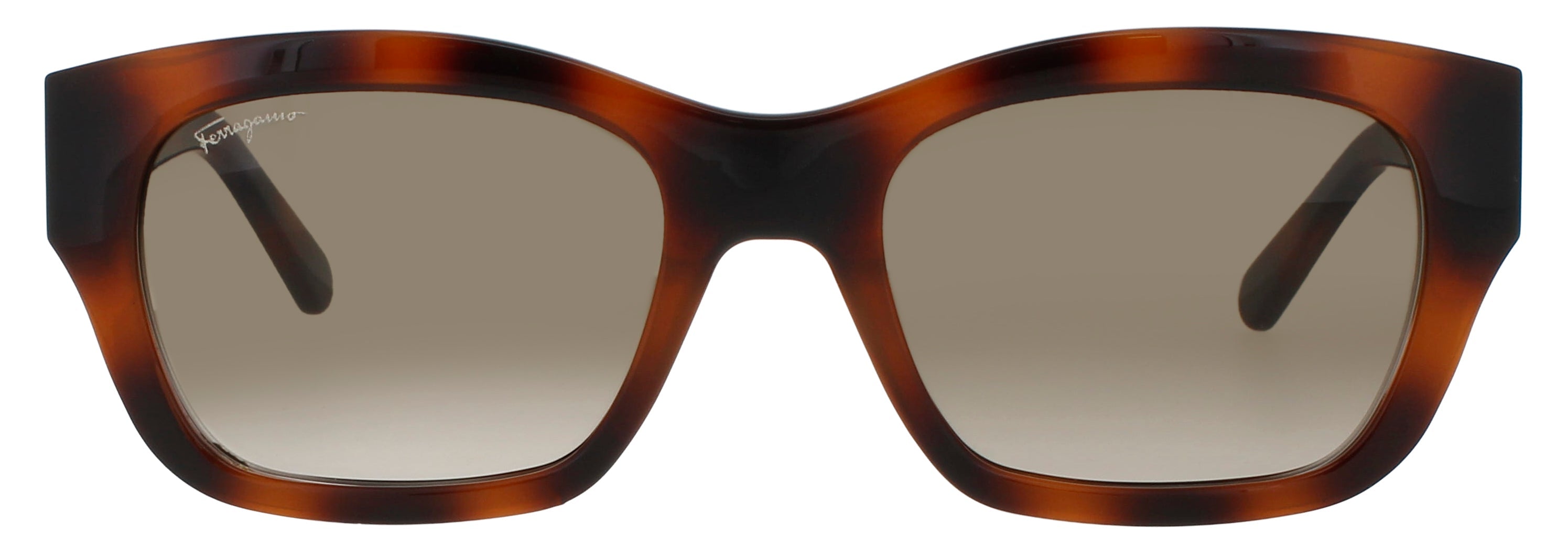 Salvatore Ferragamo Sf1012s Sunglasses by ModaFrames