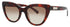 Longchamp Lo686s Sunglasses by ModaFrames