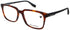 Karl Lagerfeld Kl6082 Eyeglasses by ModaFrames