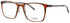 Flexon Ep8011 Eyeglasses by ModaFrames