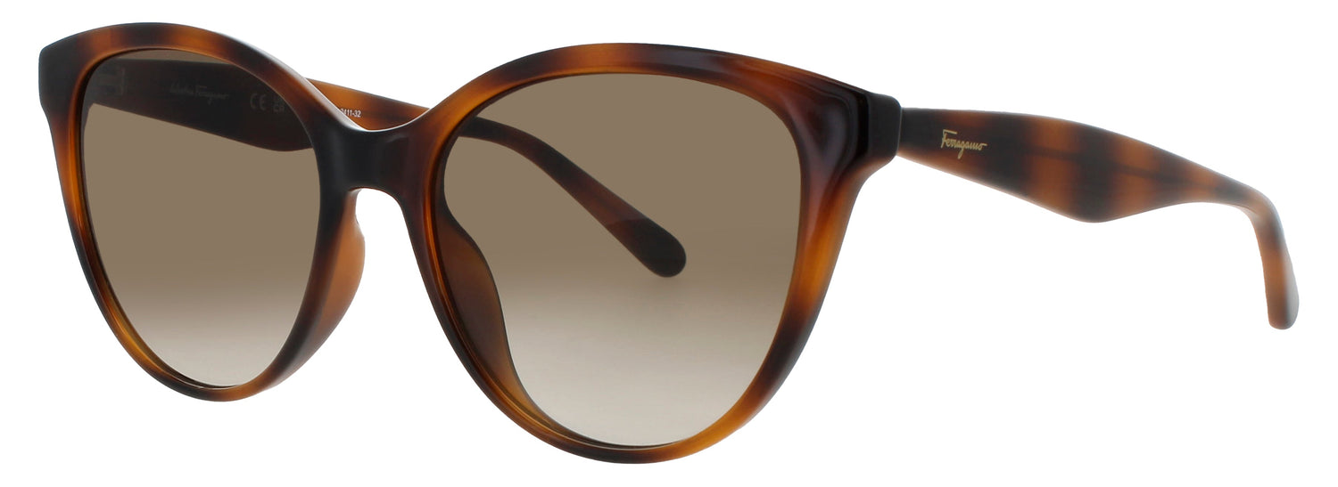 Salvatore Ferragamo Sf1073s Sunglasses by ModaFrames