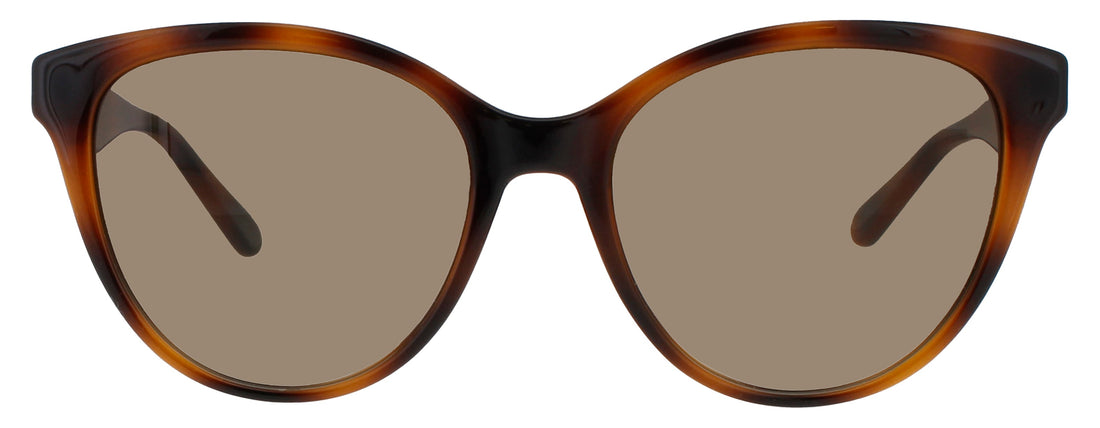 Salvatore Ferragamo Sf1073s Sunglasses by ModaFrames