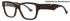 Gucci Gg1428o Eyeglasses by ModaFrames
