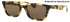 Gucci Gg1539s Sunglasses by ModaFrames