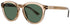 Gucci Gg1501s Sunglasses by ModaFrames