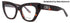 Balenciaga Bb0238o Eyeglasses by ModaFrames