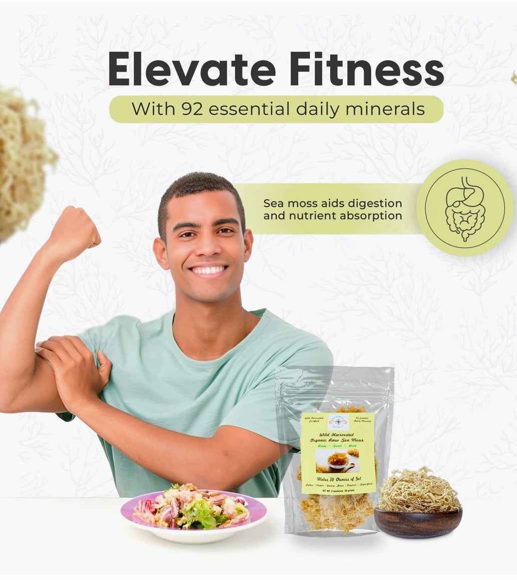 Wormwood Infused Organic Sea Moss Gel