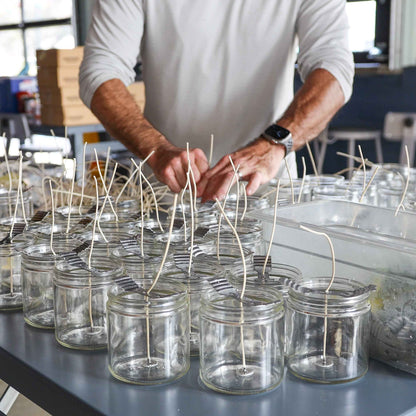 Lady May Tallow "Classic" Tallow &amp; Beeswax Candle 16oz | 7 Natural Scents | Non-Toxic Clean Burning