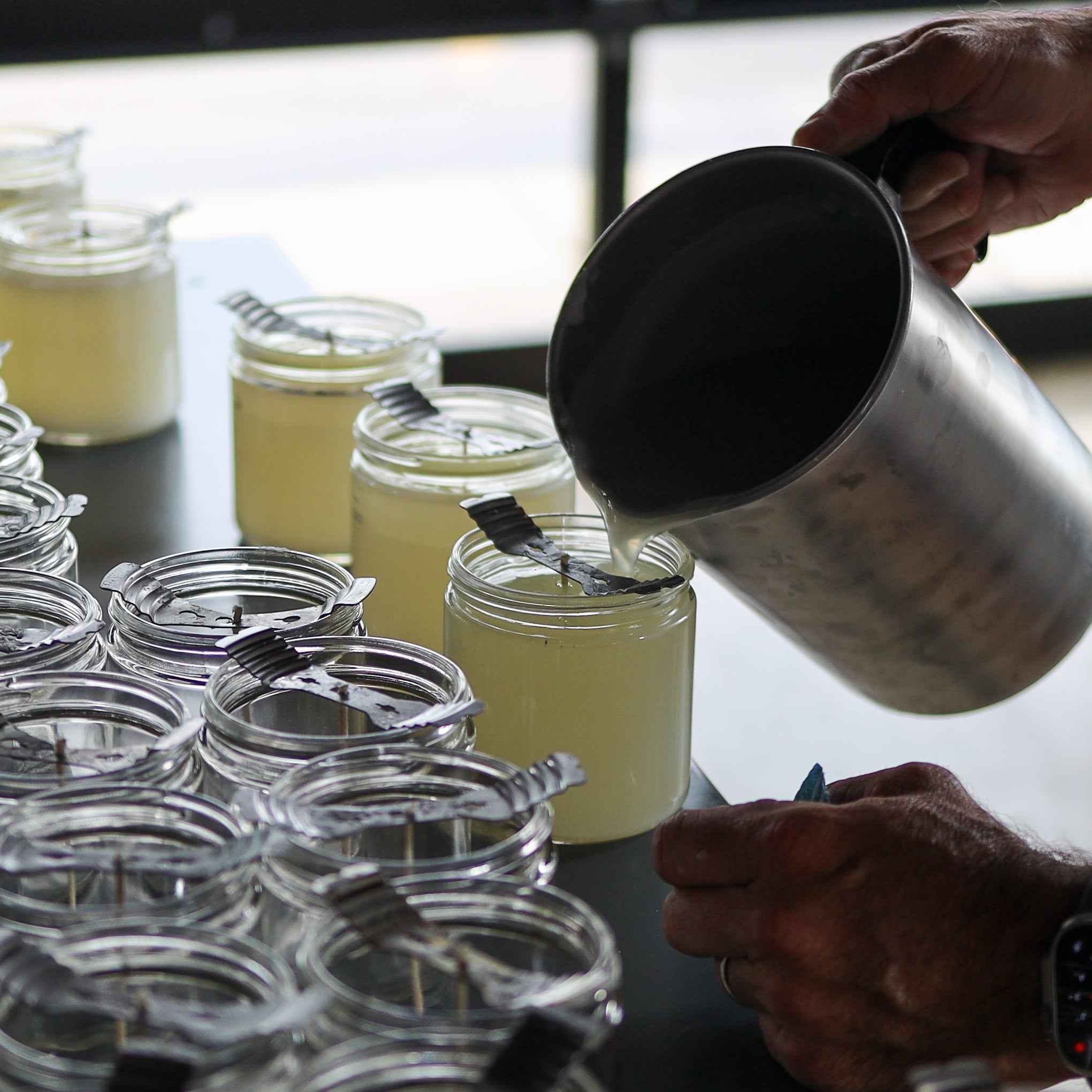 Lady May Tallow "Classic" Tallow &amp; Beeswax Candle 16oz | 7 Natural Scents | Non-Toxic Clean Burning