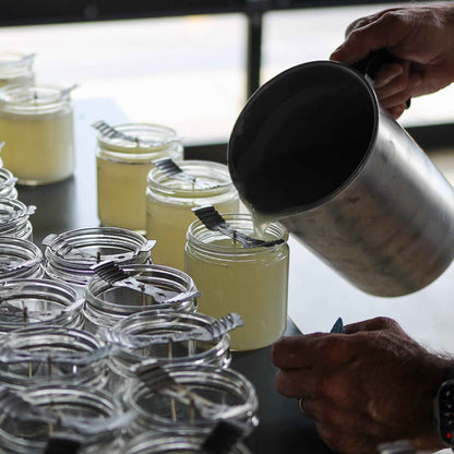 Lady May Tallow "Classic" Tallow &amp; Beeswax Candle 16oz | 7 Natural Scents | Non-Toxic Clean Burning