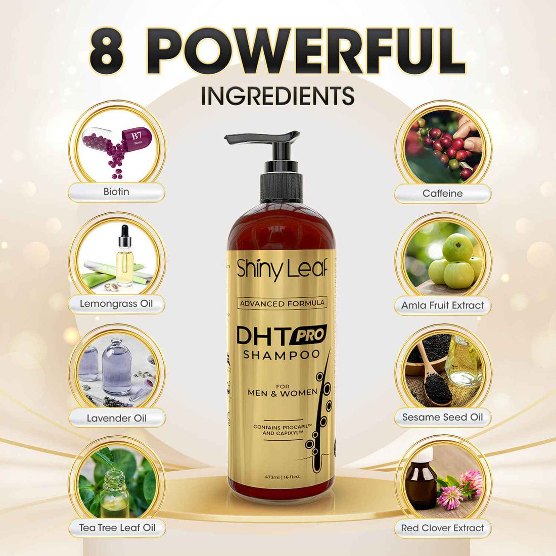 DHT Pro Shampoo with Procapil and Capixyl for Anti-Hair Loss 16 oz Shiny Leaf