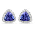 3.82 Carat Genuine Tanzanite and White Diamond 14K White Gold Earrings by Bids.com