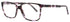 Andy Wolf 4510 Eyeglasses by ModaFrames